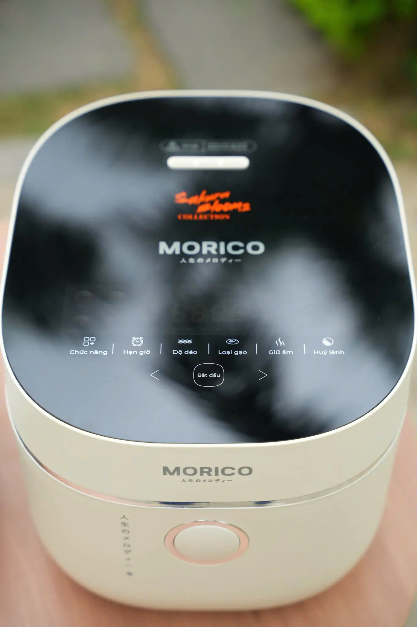 nồi cơm điện morico có tốt không