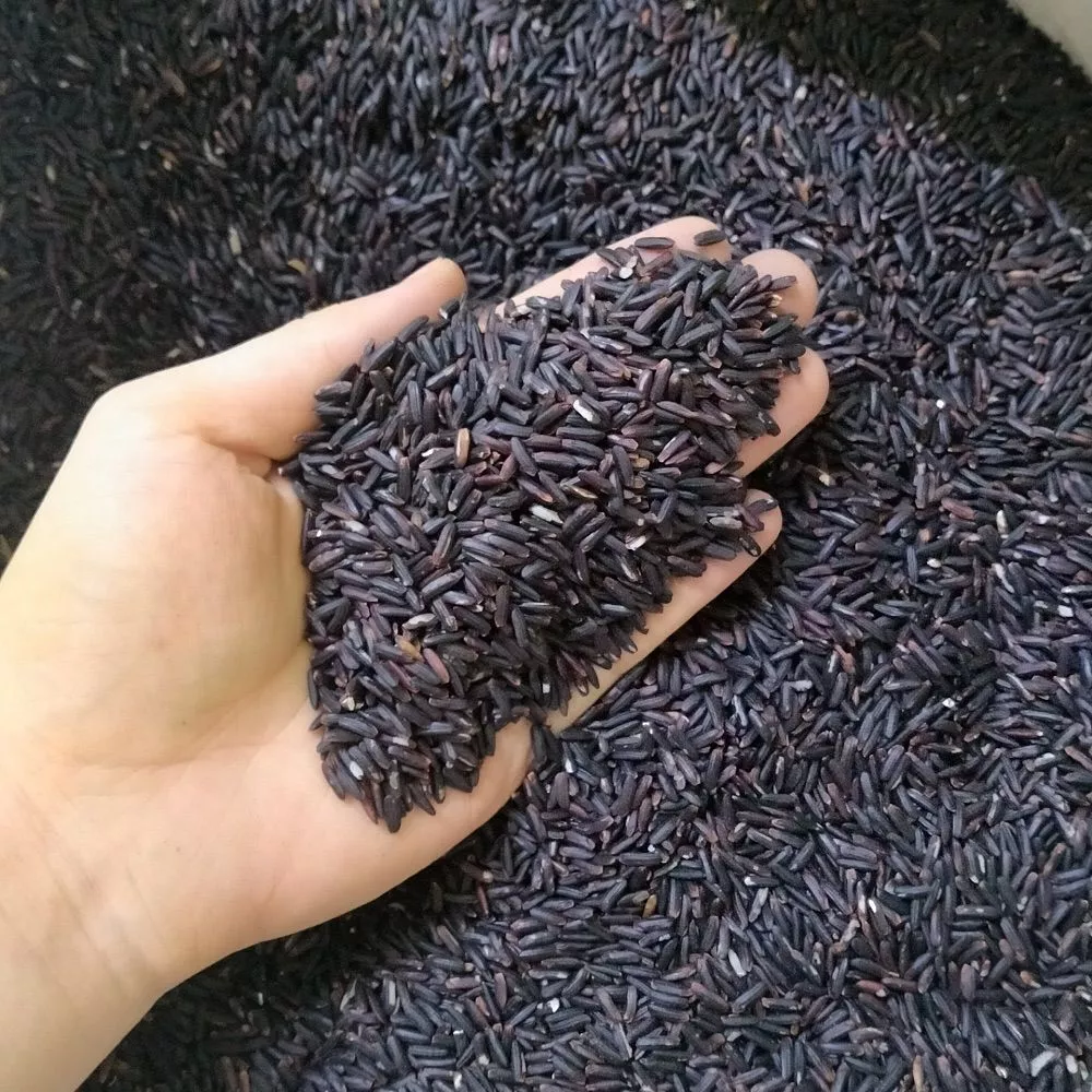 gạo lứt đen điện biên 1