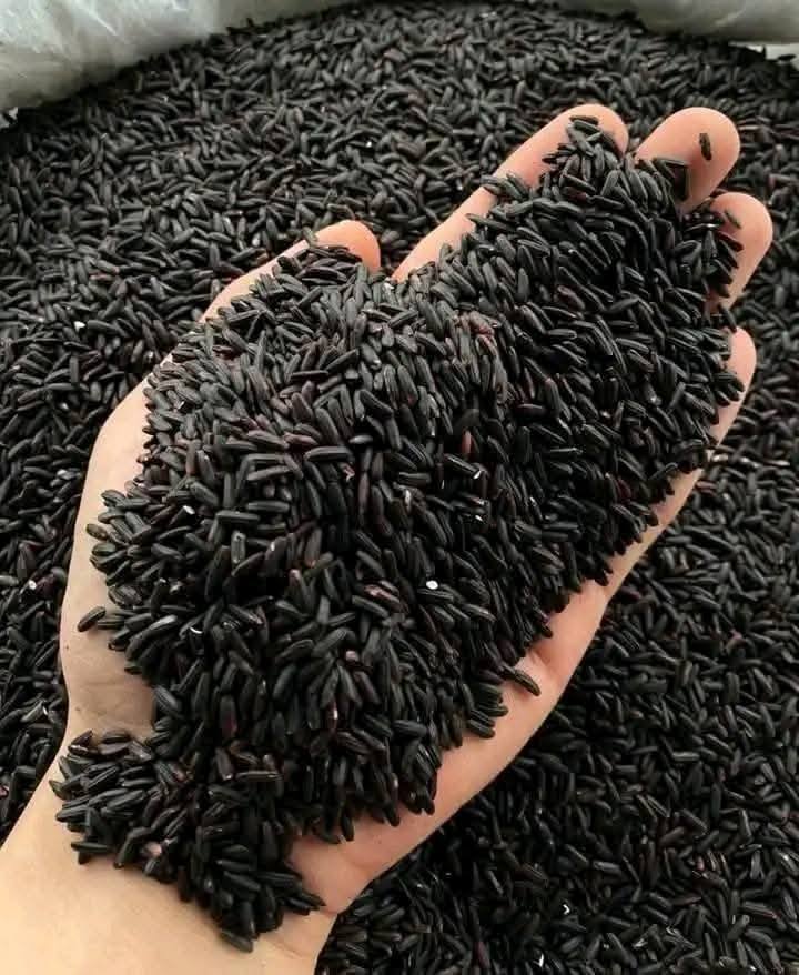 gạo lứt đen loại nào ngon