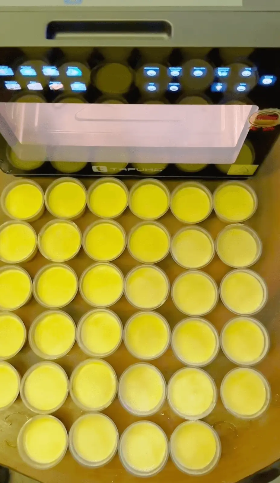 cách làm bánh flan với nồi chiên hơi nước