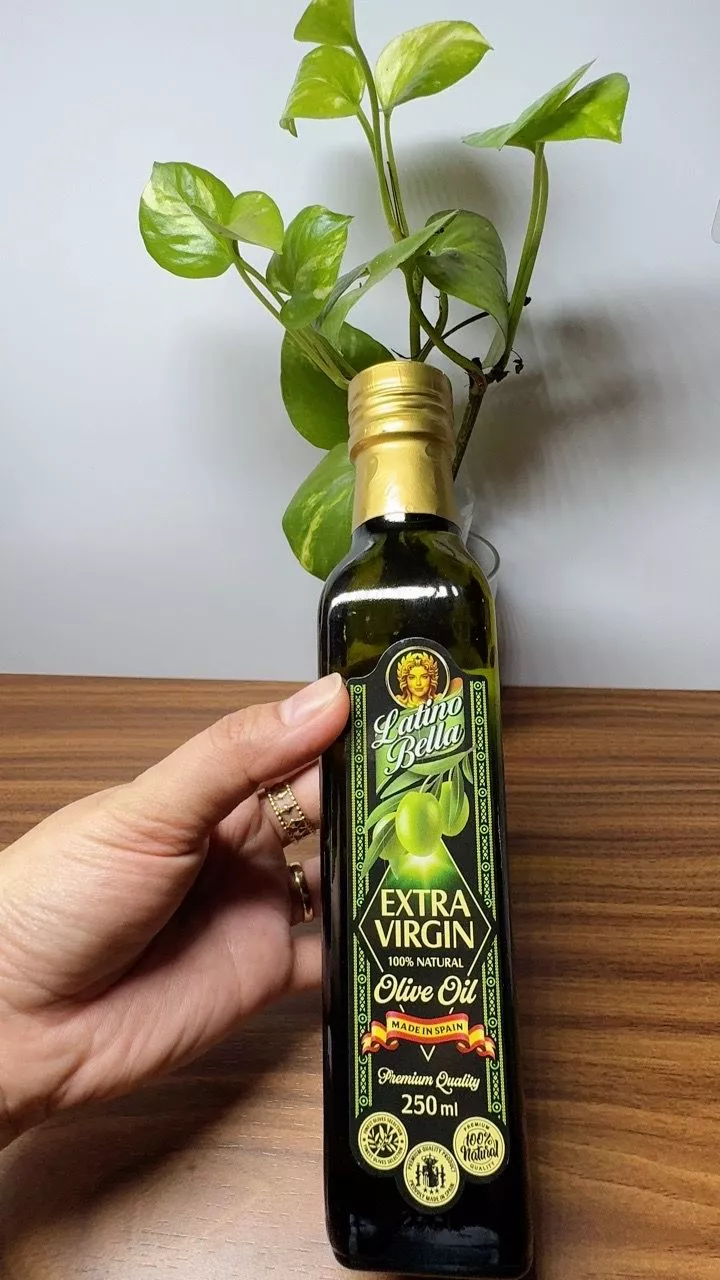 dầu oliu extra virgin loại nào tốt Latino Bella dầu oliu extra virgin loại nào tốt Latino Bella