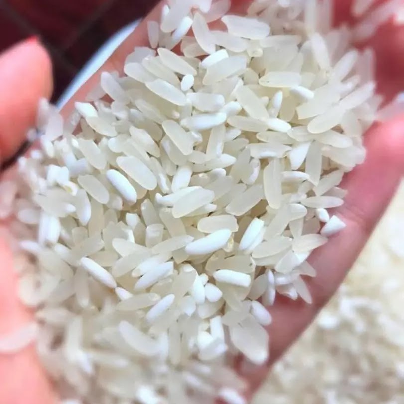 gạo nếp nương điện biên
