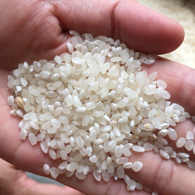 gạo nếp tú lệ