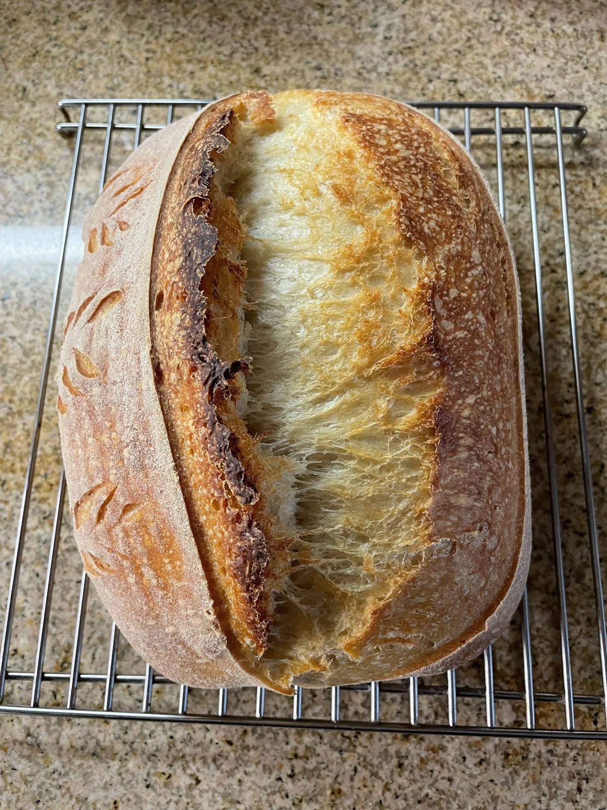 thuật ngữ về bánh mì sourdough